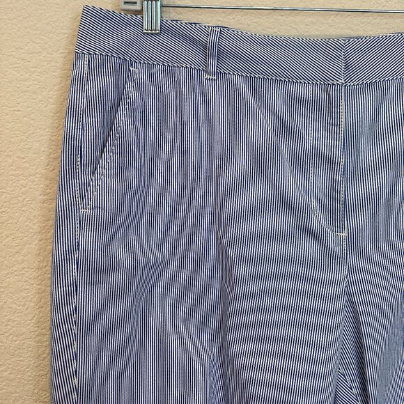 Talbots Wide Crop Blue and White Stripe Pants - Picture 2 of 4